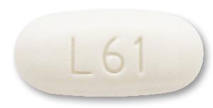 Pill L61 White Oval is Colesevelam Hydrochloride