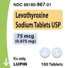 Levothyroxine sodium 75 mcg L 17