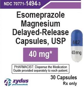 Esomeprazole magnesium delayed-release 40 mg 442 40 mg