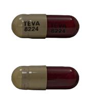 Sunitinib malate 25 mg TEVA 8224 TEVA 8224