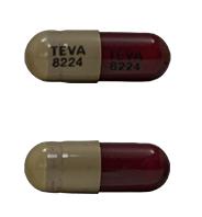 Pill TEVA 8224 TEVA 8224 Brown Capsule/Oblong is Sunitinib Malate