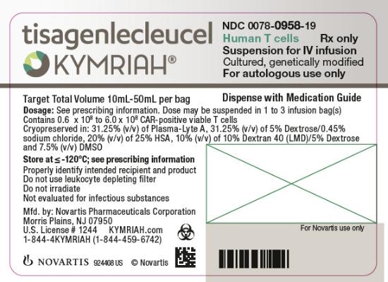 Kymriah genetically modified autologous T cells for infusion medicine