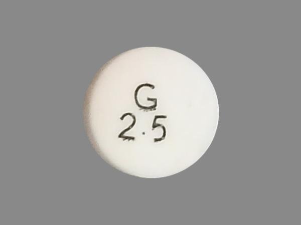 Pill G 2.5 White Round is Glipizide Extended-Release