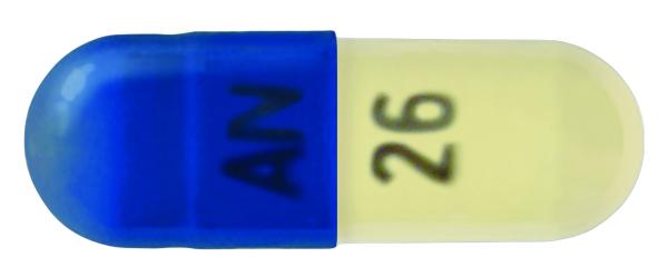 Pill AN 26 Blue & White Capsule/Oblong is Lisdexamfetamine Dimesylate