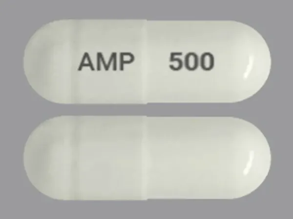 Pill AMP 500 White Capsule/Oblong is Ampicillin Trihydrate
