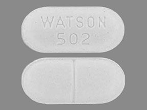 Pill WATSON 502 White Capsule/Oblong is Acetaminophen and Hydrocodone Bitartrate