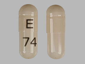 Pill Imprint E 74 (Venlafaxine Hydrochloride Extended Release 75 mg)