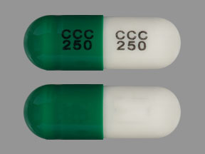 Cephalexin monohydrate 250 mg CCC 250 CCC 250