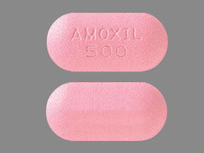 Amoxicillin trihydrate 500 mg AMOXIL 500