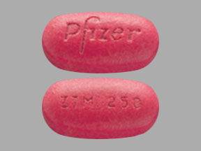 Pill Pfizer ZTM 250 Pink Capsule/Oblong is Azithromycin Dihydrate