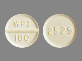 Pill WPI 100 2529 Yellow Round is Clozapine