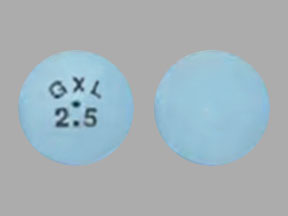 Glucotrol XL 2.5 mg GXL 2.5