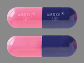 Pill AMOXIL 500 AMOXIL 500 Blue Capsule-shape is Amoxicillin Trihydrate