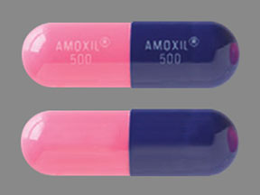 Amoxil 500 mg AMOXIL 500 AMOXIL 500