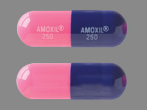 Pill AMOXIL 250 AMOXIL 250 Blue Capsule-shape is Amoxicillin Trihydrate