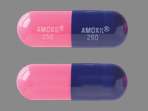 Pill AMOXIL 250 AMOXIL 250 Blue Capsule/Oblong is Amoxicillin Trihydrate