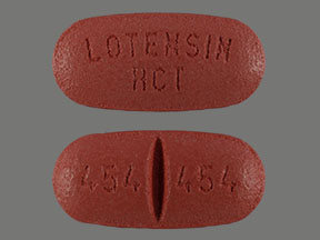 Benazepril hydrochloride and hydrochlorothiazide 20 mg / 25 mg LOTENSIN HCT 454 454