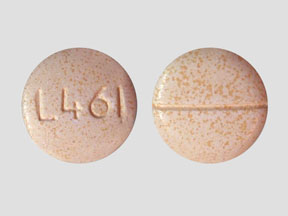 Pill L461 Orange Round is Ibuprofen (Chewable)