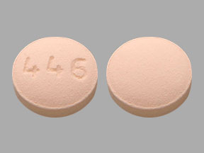 Pill 446 is Bosentan Monohydrate 62.5 mg