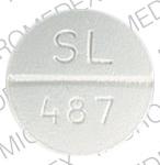Pill SL 487 White Round is Verapamil Hydrochloride