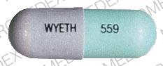 Pill 559 WYETH Gray Capsule-shape is Wymox