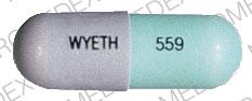 Wymox 250 MG 559 WYETH