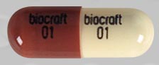 Amoxicillin 250 MG biocraft 01