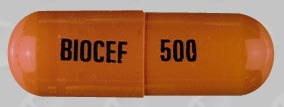Pill BIOCEF 500 Orange Capsule/Oblong is Biocef