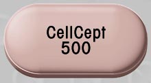 Cellcept 500 mg CellCept 500 Roche