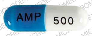 Pill AMP 500 Blue & White Capsule/Oblong is Ampicillin