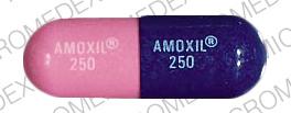 Pill AMOXIL 250 AMOXIL 250 Blue Capsule/Oblong is Amoxil