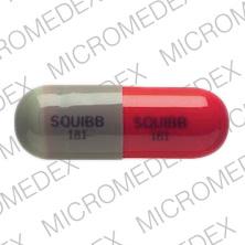 Pill SQUIBB 181 Gray Capsule-shape is Cephalexin