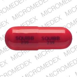 Pill SQUIBB 239 Red Capsule/Oblong is Cephalexin
