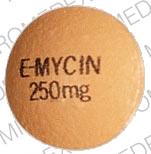 E-mycin 250 mg E-MYCIN 250mg