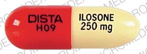 Pill DISTA H09 ILOSONE 250 mg is Ilosone 250 MG