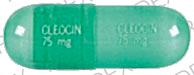 Cleocin HCl 75 MG CLEOCIN  75 mg CLEOCIN  75 mg