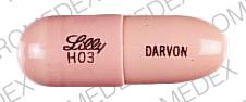 Darvon 65 mg Lilly H03 DARVON