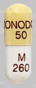 Pill MONODOX 50 M 260 Yellow Capsule-shape is Monodox