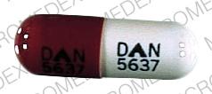 Meclofenamate sodium 100 MG DAN 5637