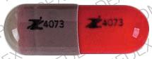 Pill LOGO 4073 Red Capsule/Oblong is Cephalexin