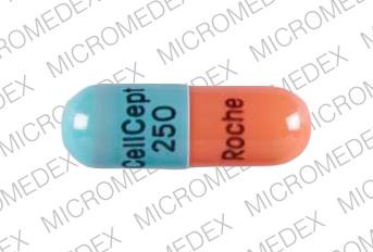Cellcept 250 mg CellCept 250 Roche Front