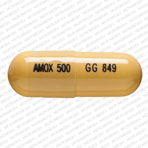 Amoxicillin trihydrate 500 mg AMOX 500 GG 849 Front