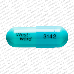 Doxycycline hyclate 100 mg West-ward 3142 Front