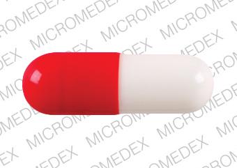 Cefadroxil monohydate 500 mg 93 3196 93 3196 Back