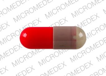 Cephalexin monohydrate 250 mg 93 3145 93 3145 Back