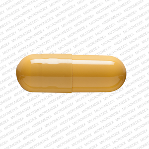 Amoxicillin 250 mg GG 848 AMOX 250 Back