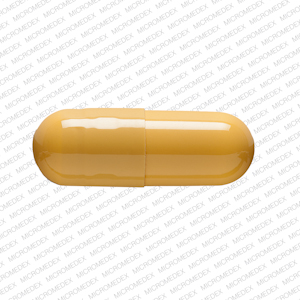 Amoxicillin 250 mg GG 848 AMOX 250 Back