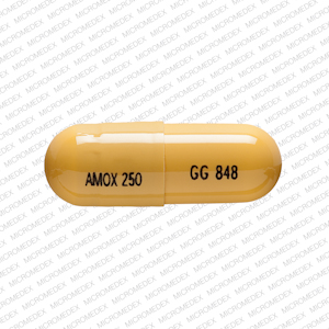 Amoxicillin 250 mg GG 848 AMOX 250 Front