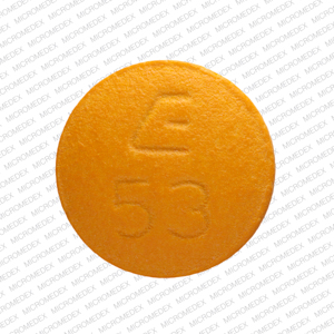 Benazepril hydrochloride 10 mg E 53 Front