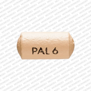 Paliperidone extended-release 6 mg PAL 6